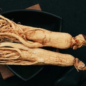 ginseng